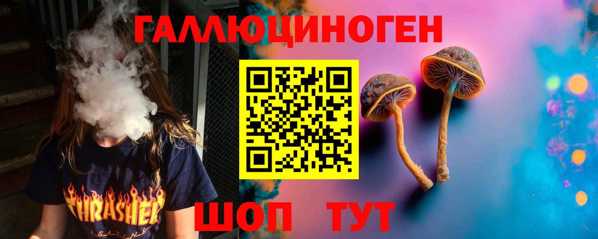 Псилоцибиновые грибы GOLDEN TEACHER  продажа наркотиков  Азнакаево  Вход с VPN 